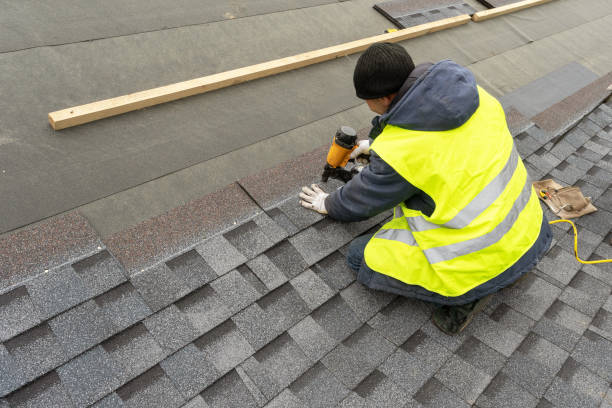 Best Metal Roofing Contractor  in North Platte, NE
